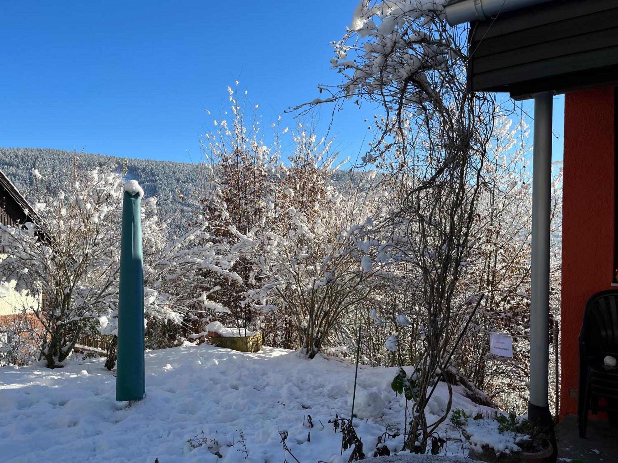 Apartmán Waldhaus Max Bad Wildbad Exteriér fotografie