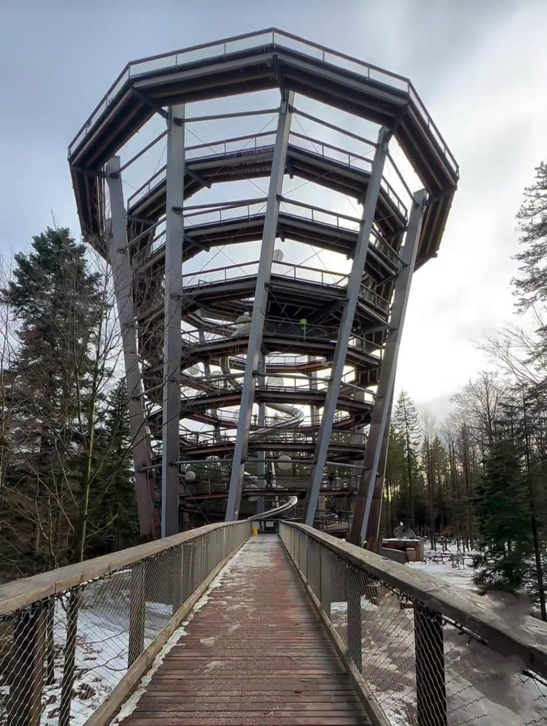 Apartmán Waldhaus Max Bad Wildbad Exteriér fotografie