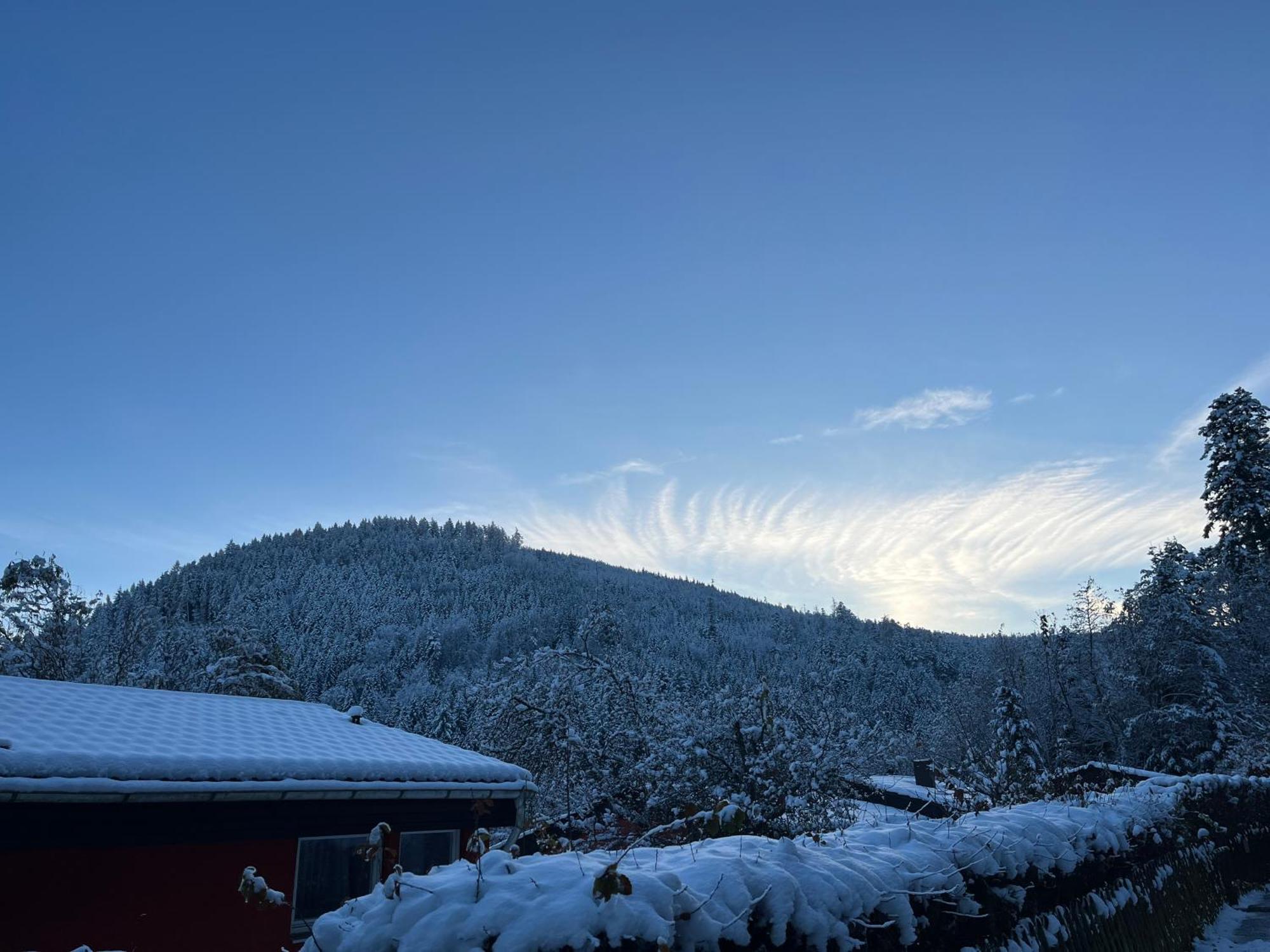 Apartmán Waldhaus Max Bad Wildbad Exteriér fotografie